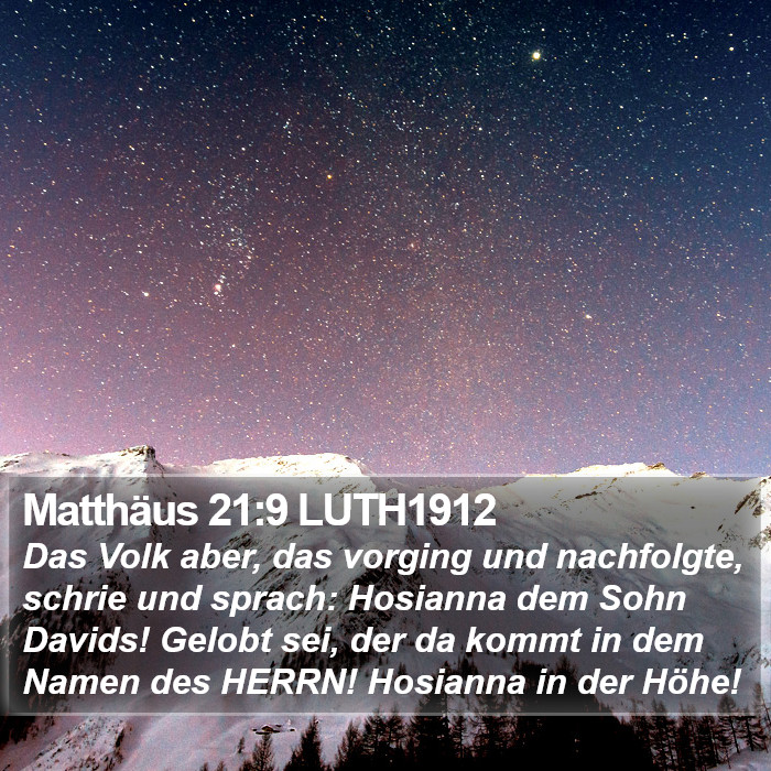 Matthäus 21:9 LUTH1912 Bible Study