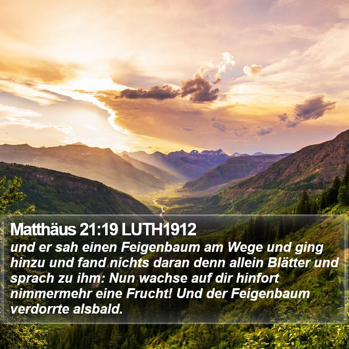 Matthäus 21:19 LUTH1912 Bible Study