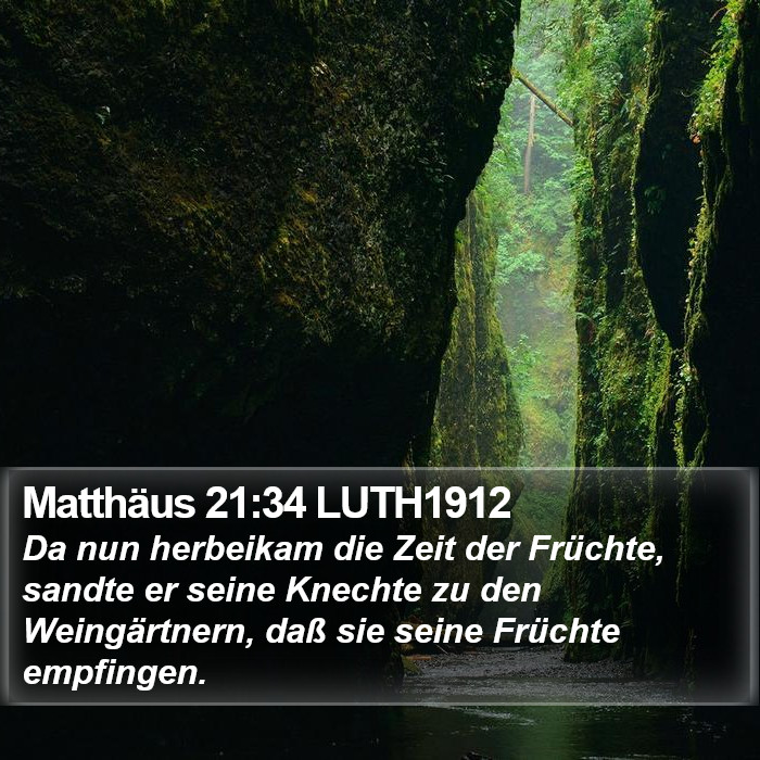 Matthäus 21:34 LUTH1912 Bible Study
