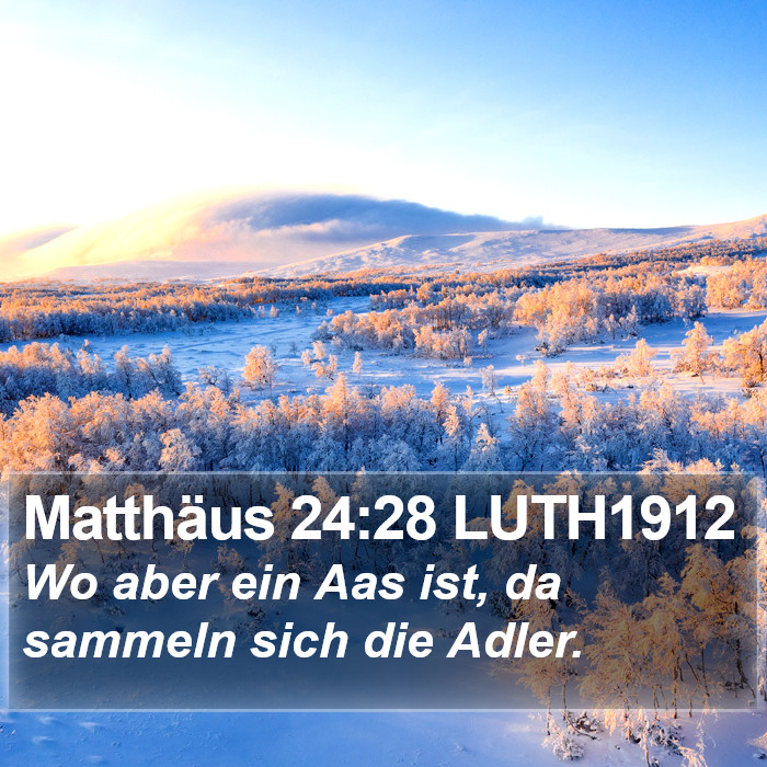 Matthäus 24:28 LUTH1912 Bible Study