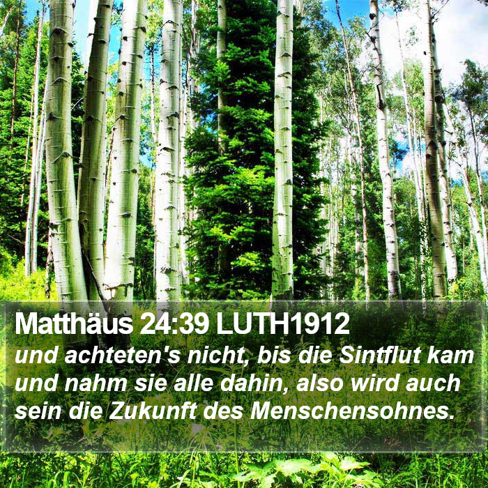 Matthäus 24:39 LUTH1912 Bible Study