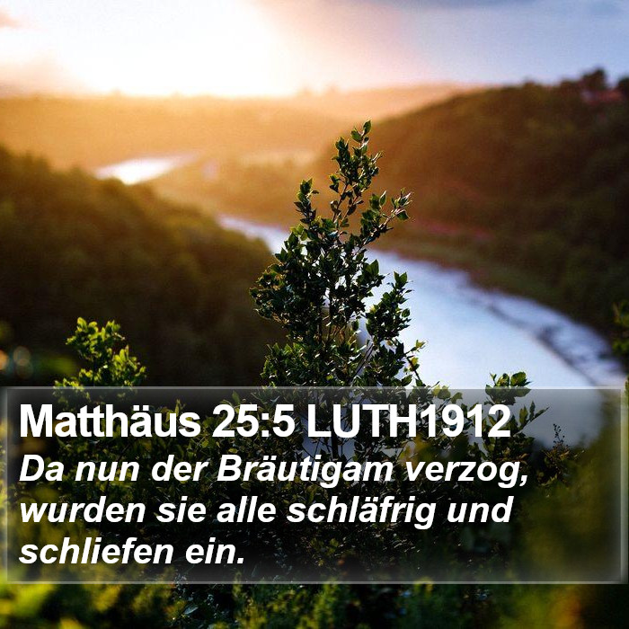 Matthäus 25:5 LUTH1912 Bible Study