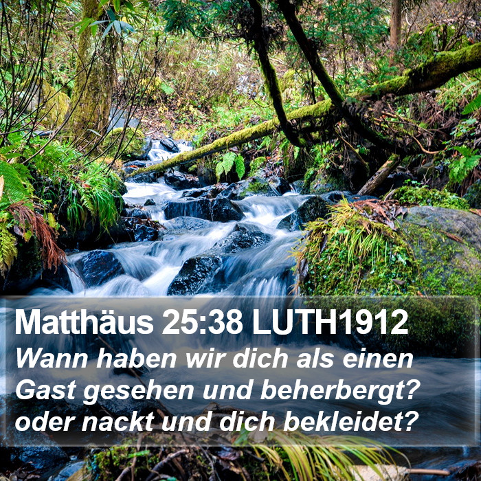 Matthäus 25:38 LUTH1912 Bible Study