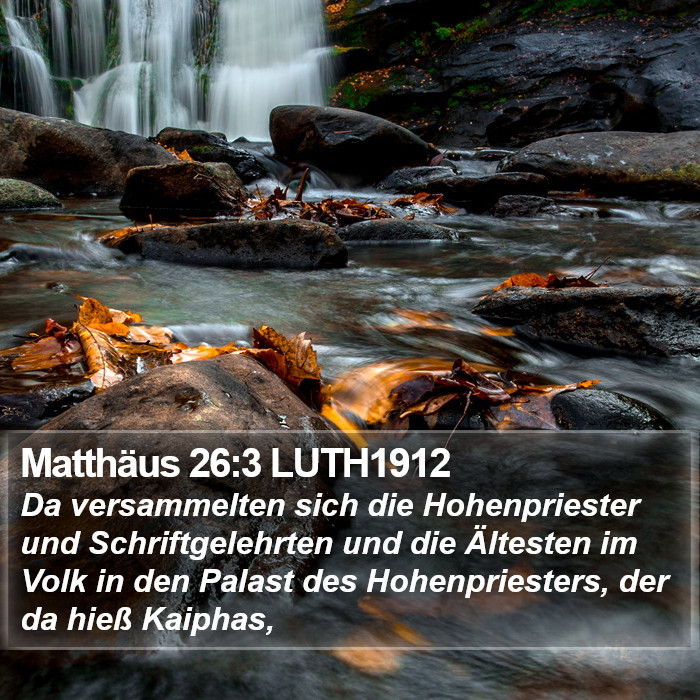 Matthäus 26:3 LUTH1912 Bible Study