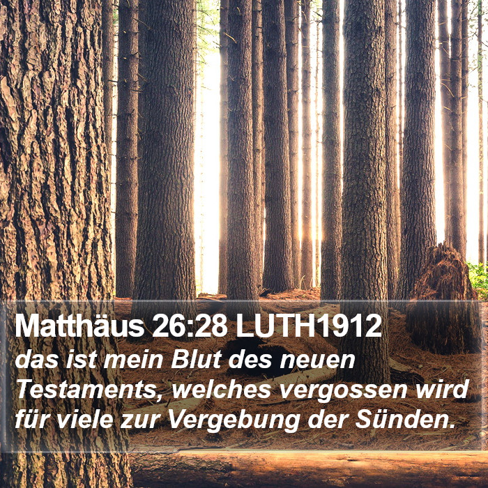 Matthäus 26:28 LUTH1912 Bible Study