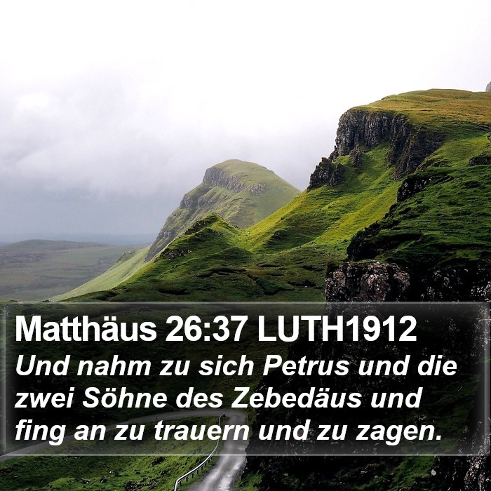 Matthäus 26:37 LUTH1912 Bible Study