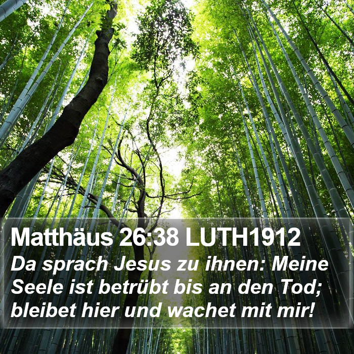 Matthäus 26:38 LUTH1912 Bible Study