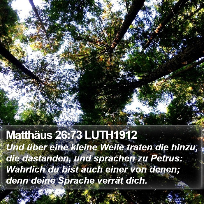 Matthäus 26:73 LUTH1912 Bible Study