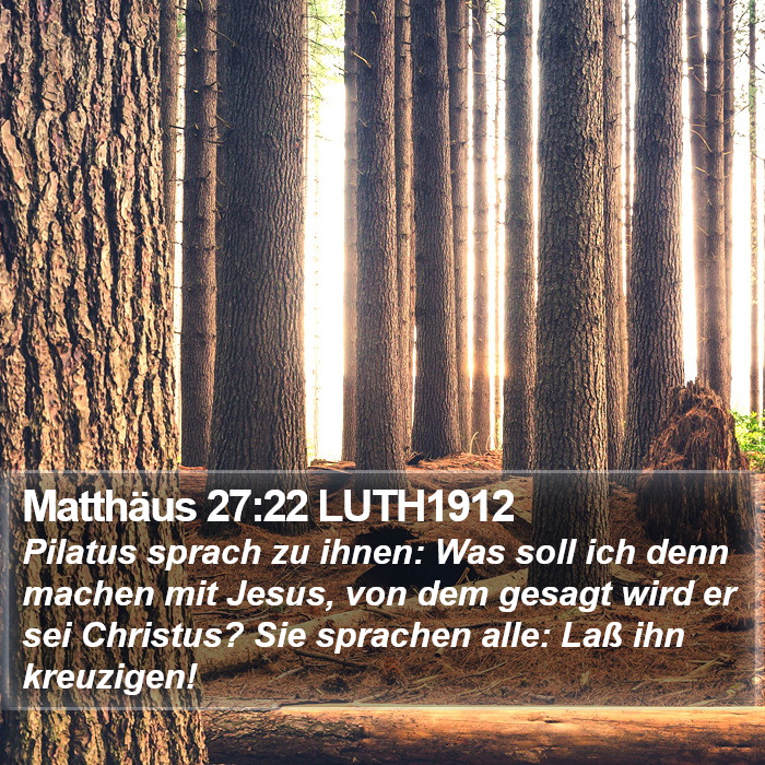 Matthäus 27:22 LUTH1912 Bible Study