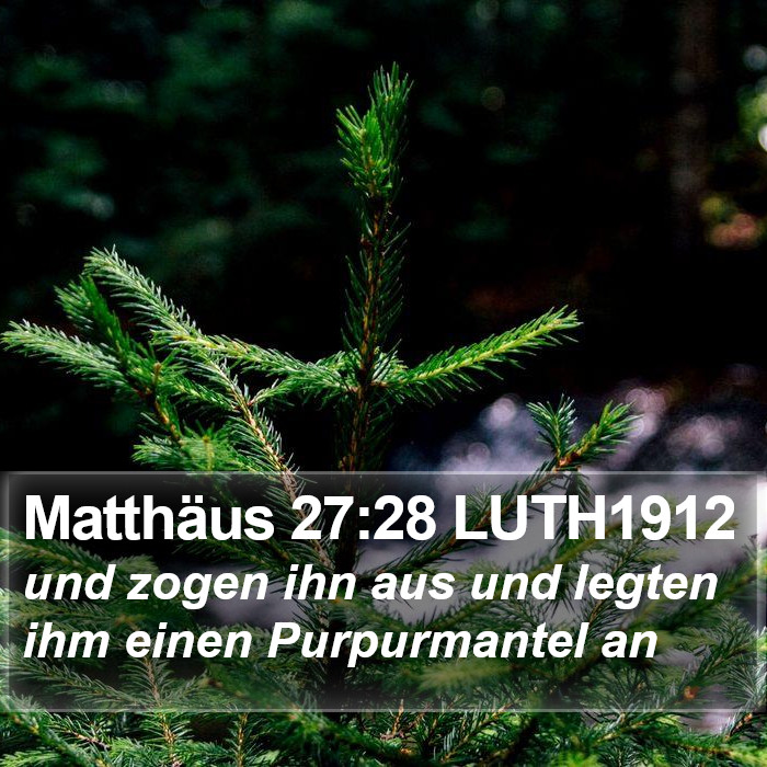 Matthäus 27:28 LUTH1912 Bible Study