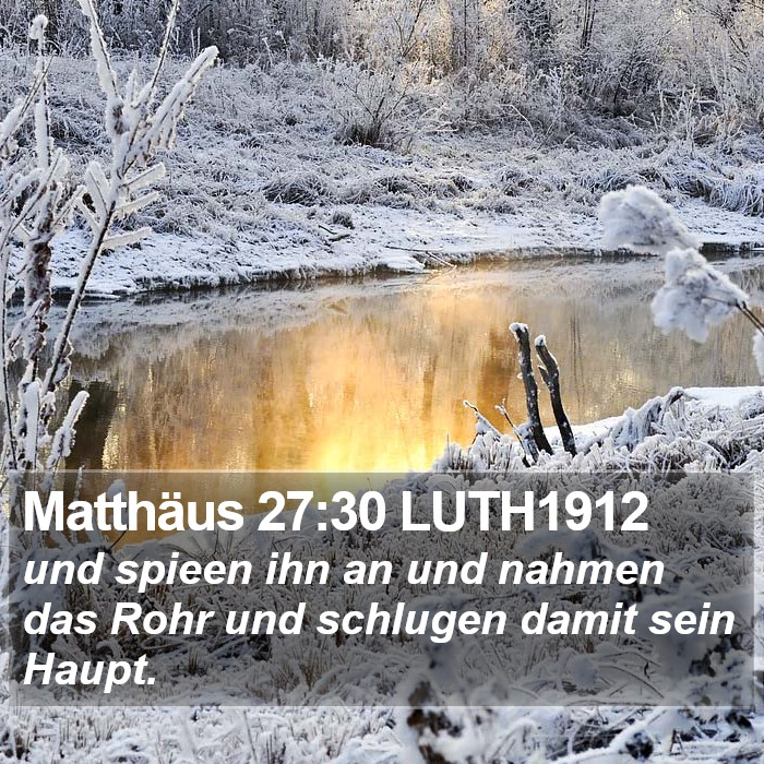 Matthäus 27:30 LUTH1912 Bible Study