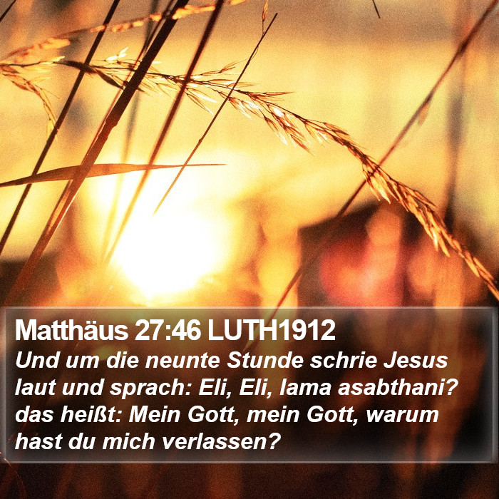 Matthäus 27:46 LUTH1912 Bible Study