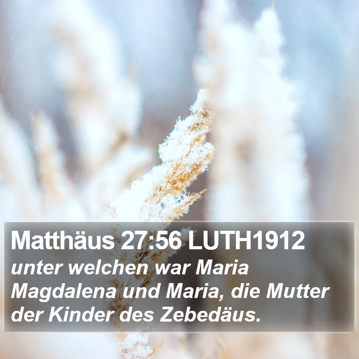 Matthäus 27:56 LUTH1912 Bible Study