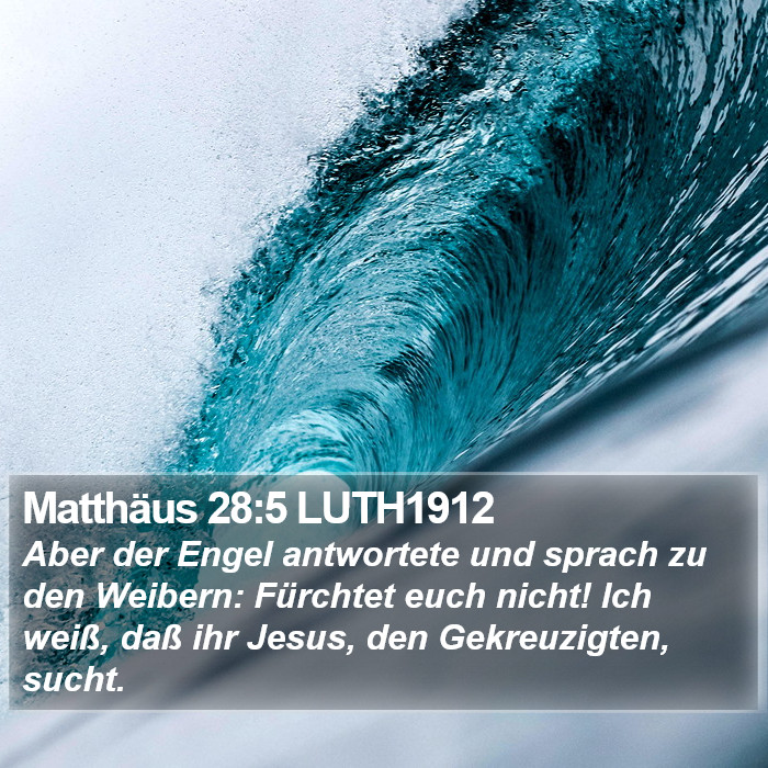 Matthäus 28:5 LUTH1912 Bible Study