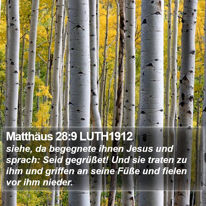 Matthäus 28:9 LUTH1912 Bible Study