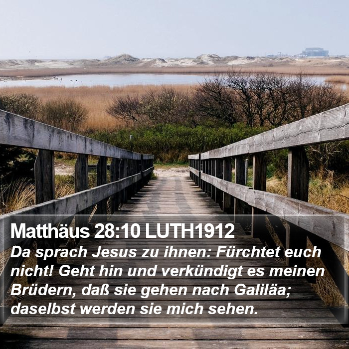 Matthäus 28:10 LUTH1912 Bible Study
