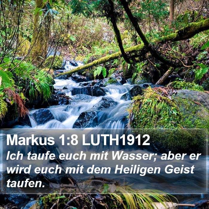 Markus 1:8 LUTH1912 Bible Study