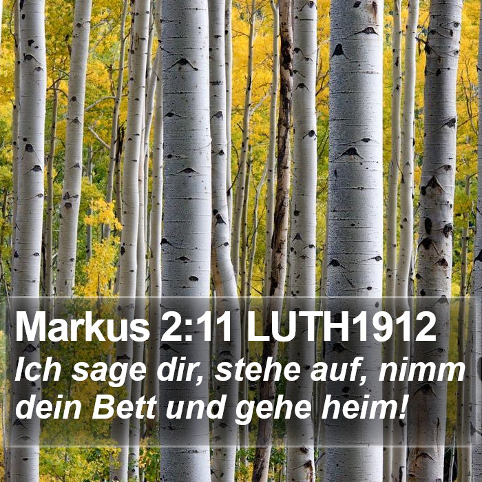 Markus 2:11 LUTH1912 Bible Study