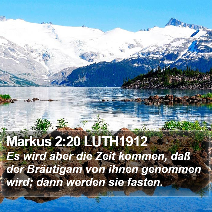 Markus 2:20 LUTH1912 Bible Study