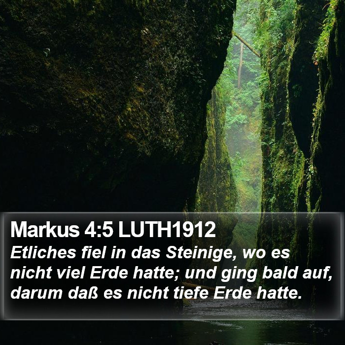 Markus 4:5 LUTH1912 Bible Study