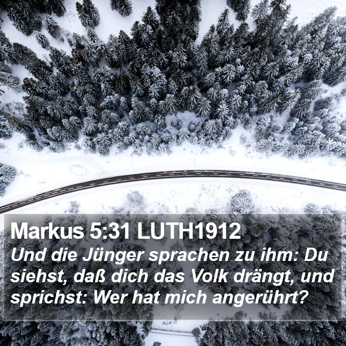 Markus 5:31 LUTH1912 Bible Study