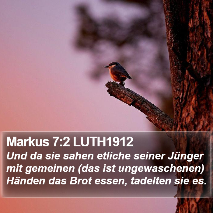 Markus 7:2 LUTH1912 Bible Study