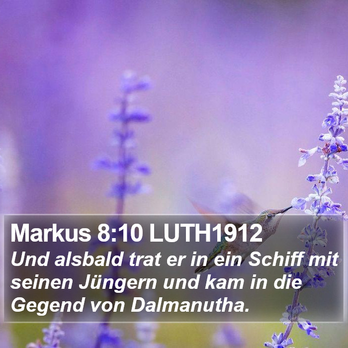 Markus 8:10 LUTH1912 Bible Study