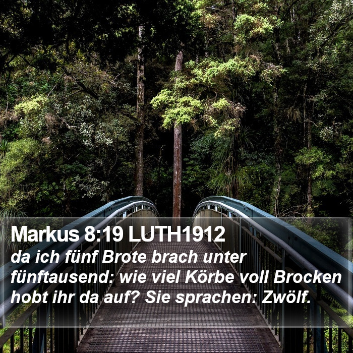 Markus 8:19 LUTH1912 Bible Study