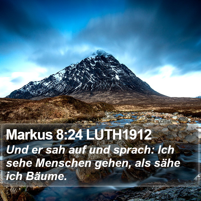 Markus 8:24 LUTH1912 Bible Study