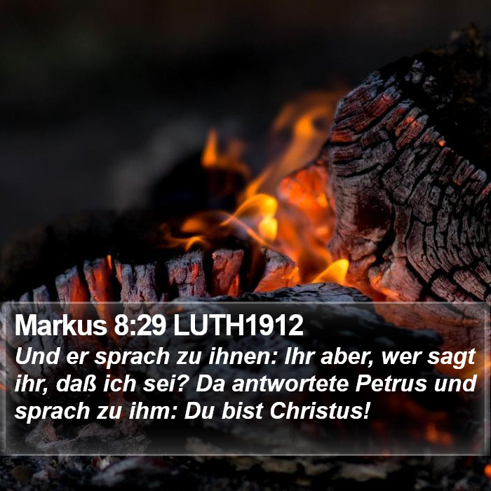Markus 8:29 LUTH1912 Bible Study