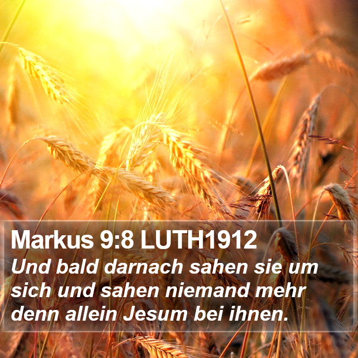 Markus 9:8 LUTH1912 Bible Study