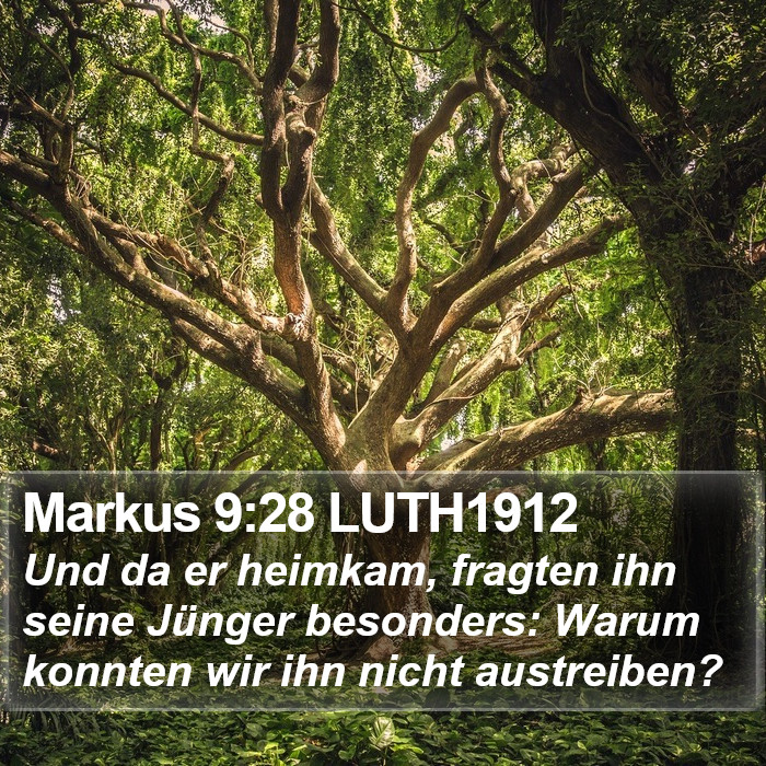Markus 9:28 LUTH1912 Bible Study