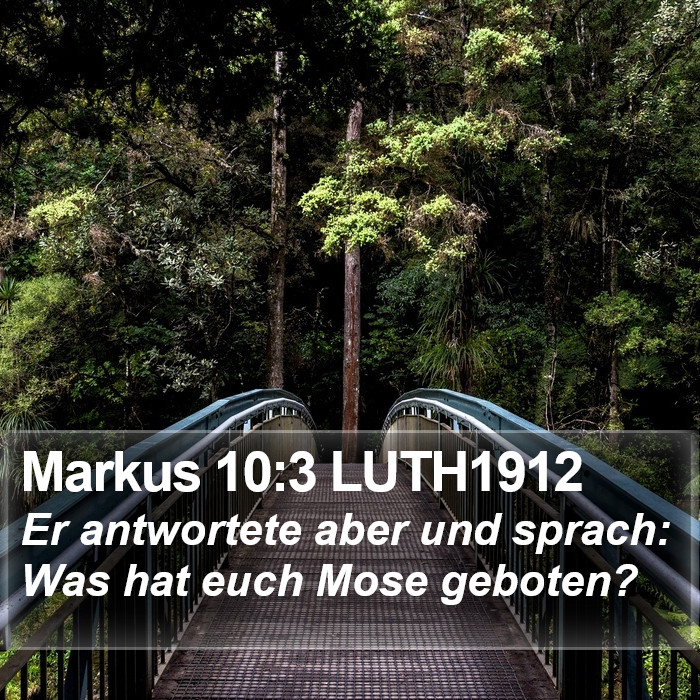 Markus 10:3 LUTH1912 Bible Study
