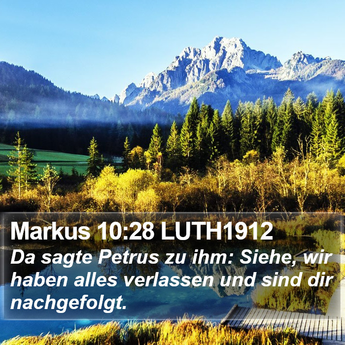 Markus 10:28 LUTH1912 Bible Study