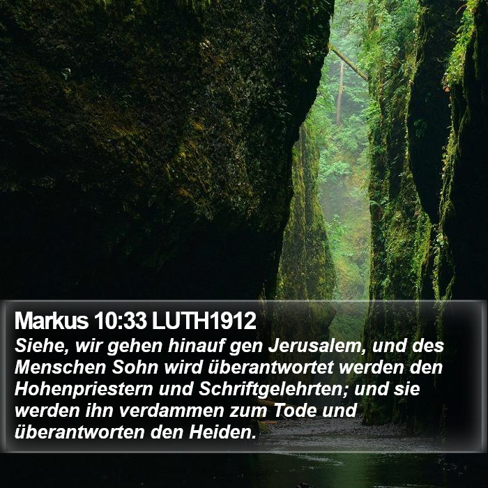 Markus 10:33 LUTH1912 Bible Study