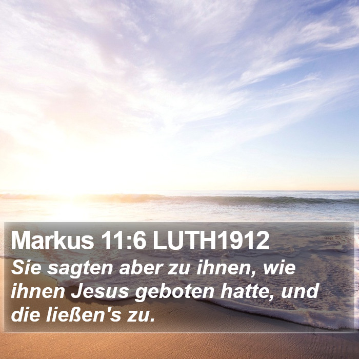 Markus 11:6 LUTH1912 Bible Study