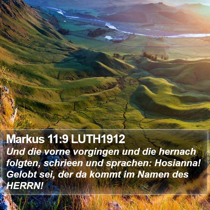 Markus 11:9 LUTH1912 Bible Study