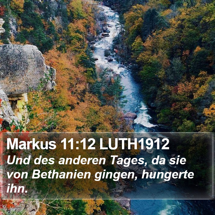 Markus 11:12 LUTH1912 Bible Study