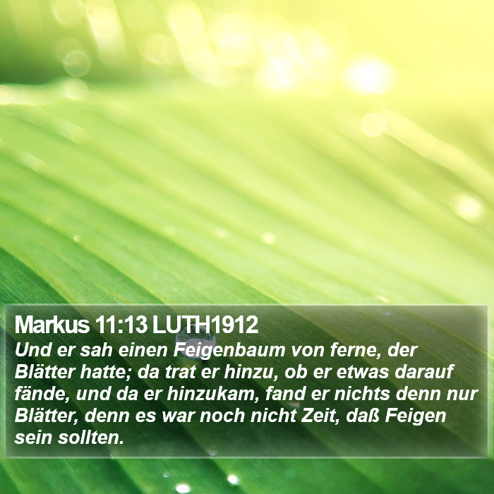Markus 11:13 LUTH1912 Bible Study