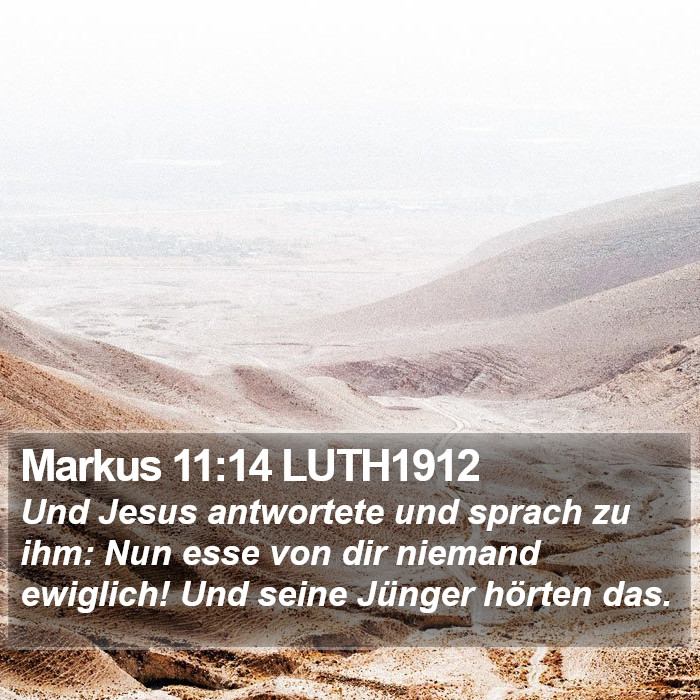 Markus 11:14 LUTH1912 Bible Study