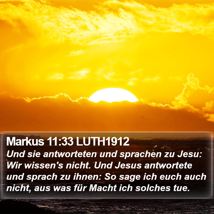 Markus 11:33 LUTH1912 Bible Study