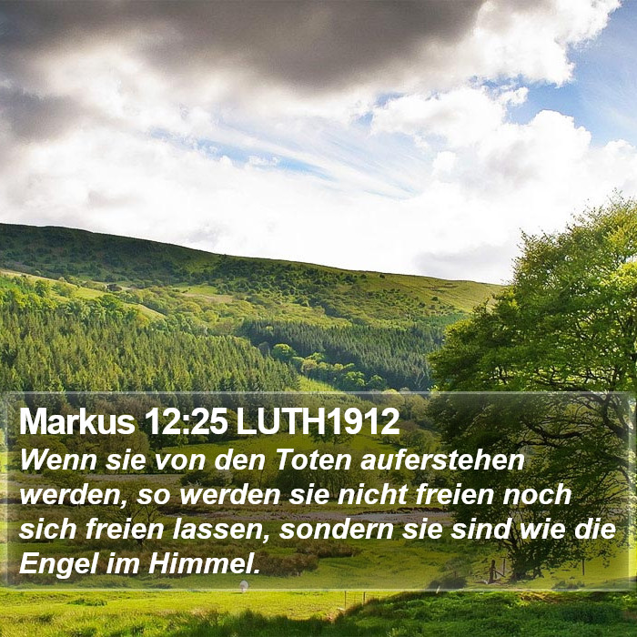 Markus 12:25 LUTH1912 Bible Study