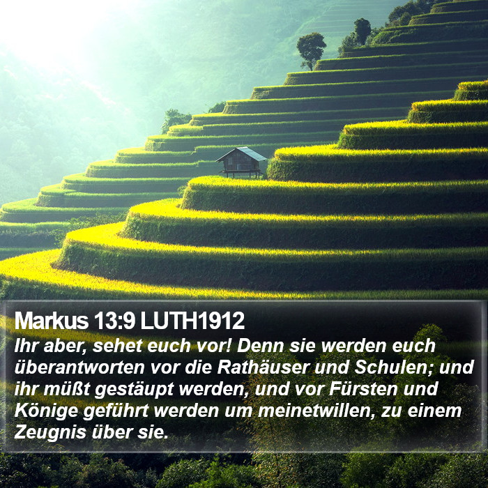 Markus 13:9 LUTH1912 Bible Study