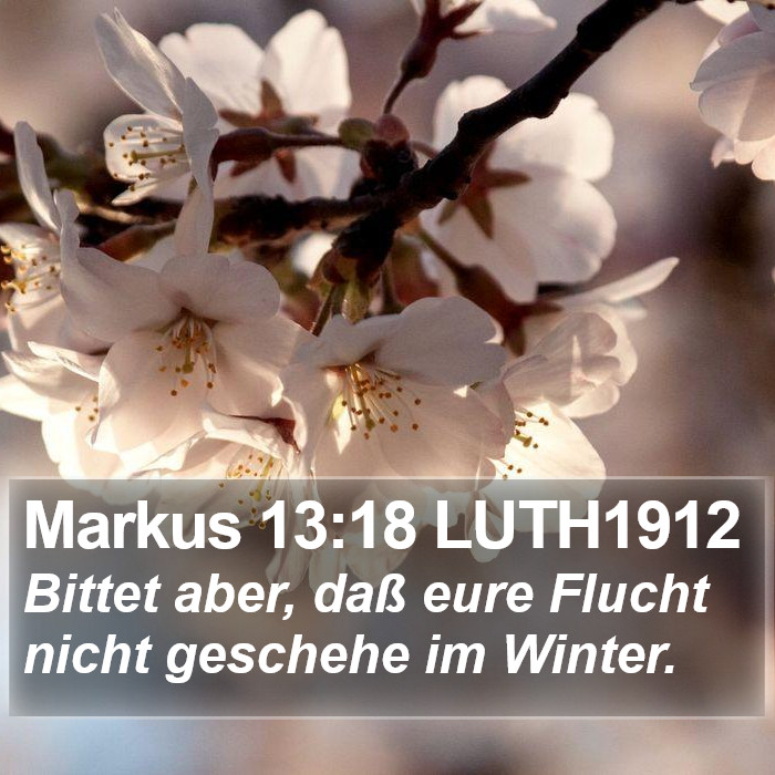 Markus 13:18 LUTH1912 Bible Study