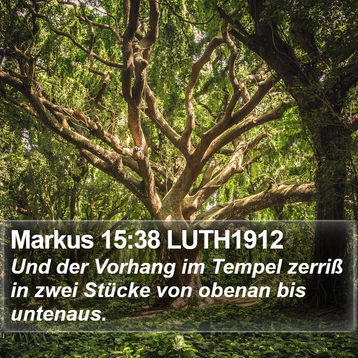 Markus 15:38 LUTH1912 Bible Study