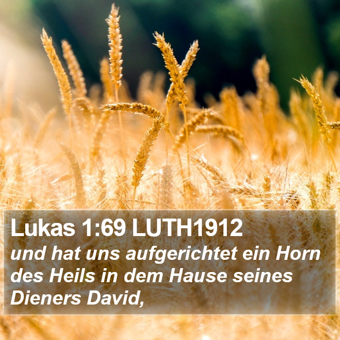 Lukas 1:69 LUTH1912 Bible Study