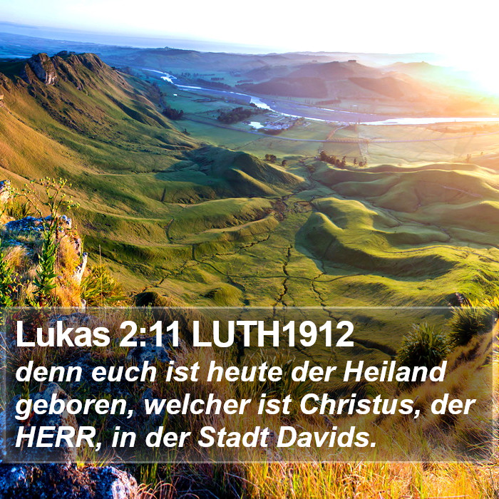 Lukas 2:11 LUTH1912 Bible Study