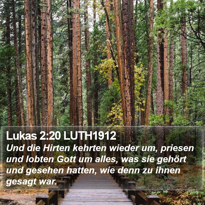 Lukas 2:20 LUTH1912 Bible Study