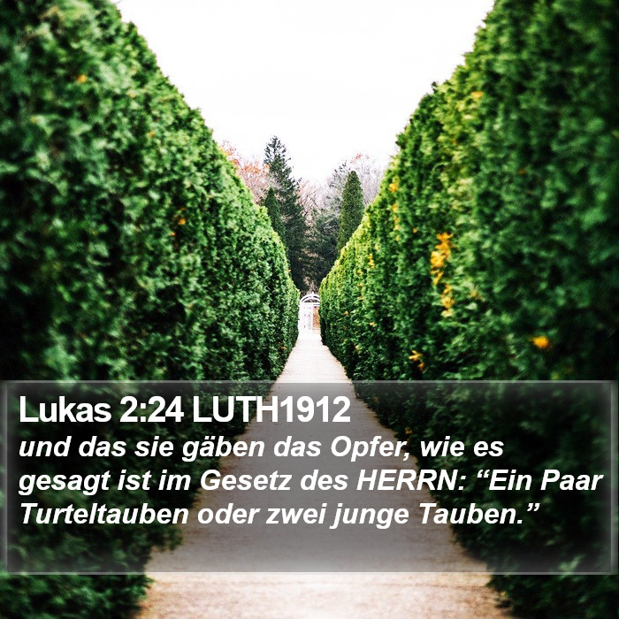 Lukas 2:24 LUTH1912 Bible Study