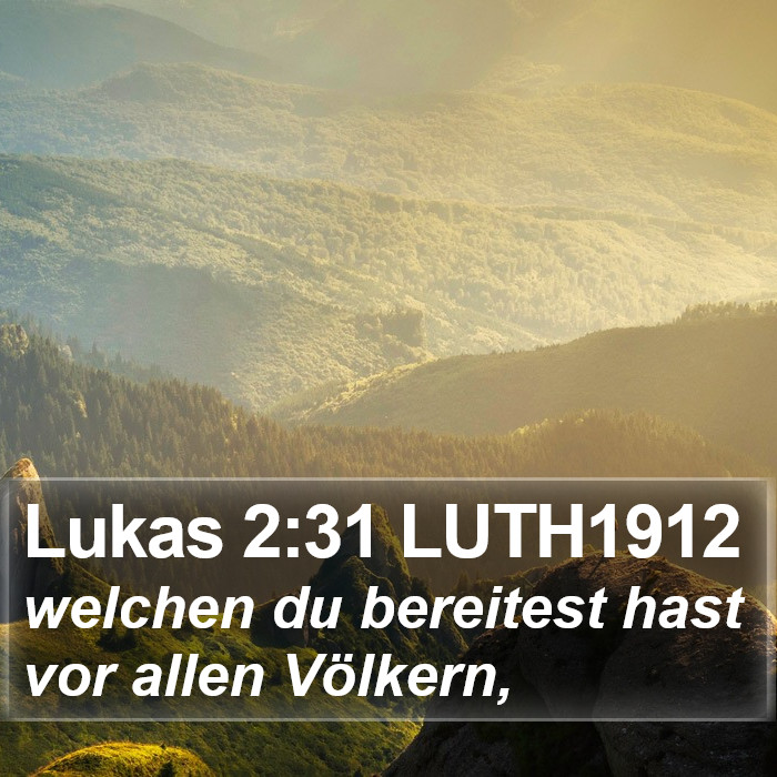 Lukas 2:31 LUTH1912 Bible Study